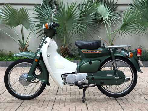 Cub cánh én