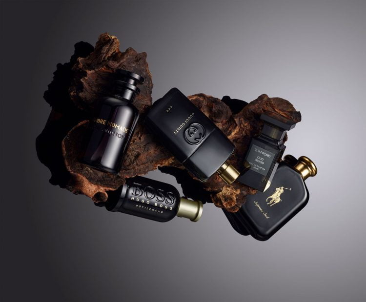 mui huong dan ong va chat xuc tac tu go