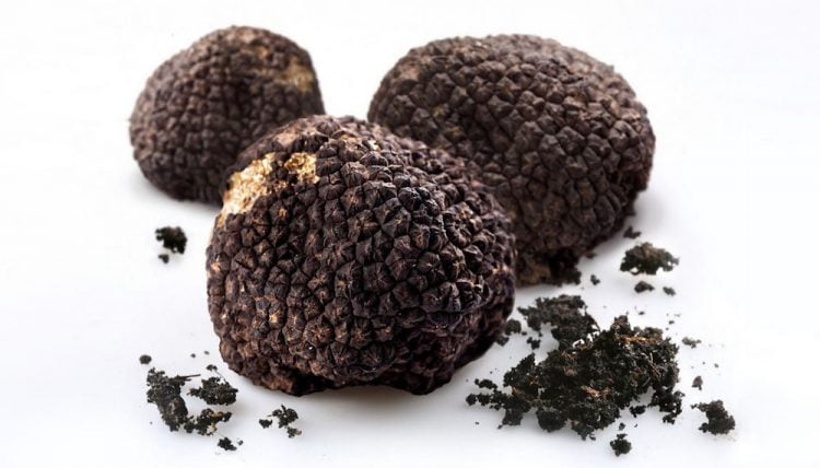 nấm-truffle