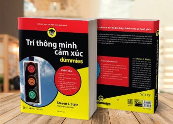 Review Sách Trí Thông Minh Cảm Xúc For Dummies