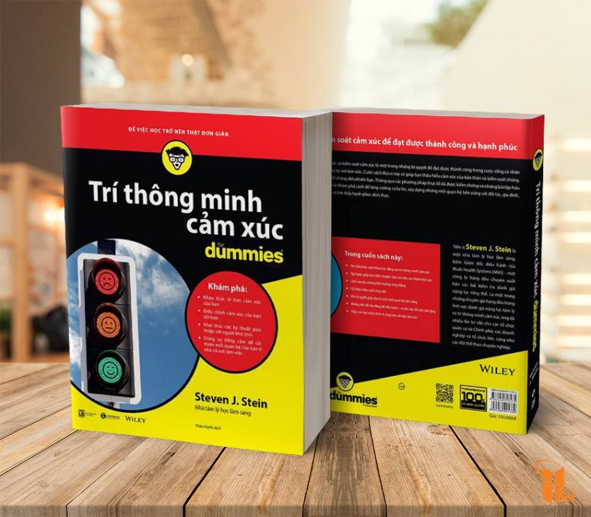 Review Sách Trí Thông Minh Cảm Xúc For Dummies