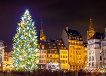 nguon goc cua cay thong noel