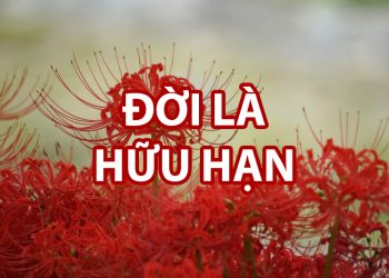 đời là hữu hạn
