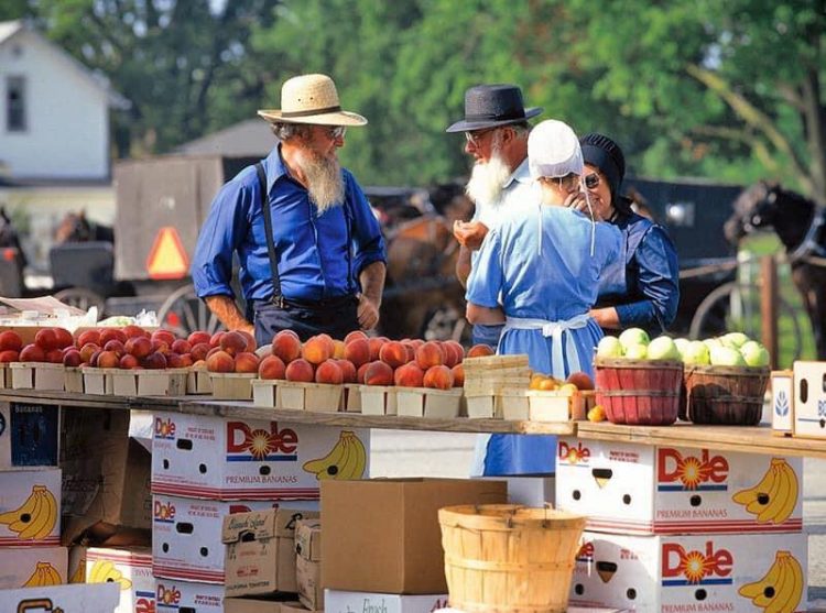 nguoi amish