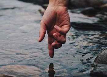 giá trị của loài người