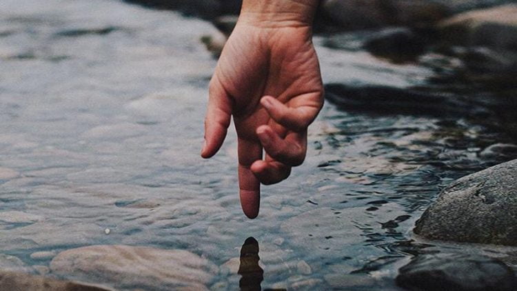 giá trị của loài người