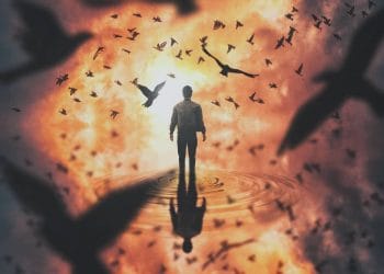 3 giai đoạn cuộc đời