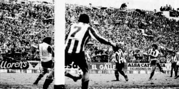 Sociedad 1981
