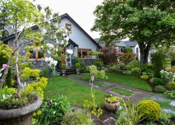 Bỏ phố về quê