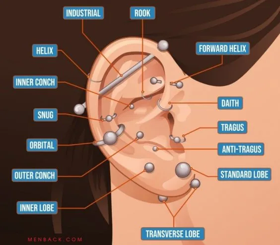 Các vị trí xỏ khuyên ở tai