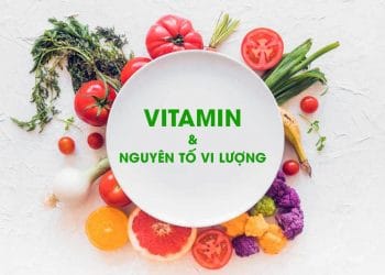 Thực phẩm chứa nhiều vitamin