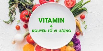 Thực phẩm chứa nhiều vitamin