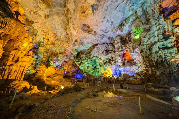 Hang Đầu Gỗ Quảng Ninh