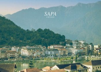 Sapa