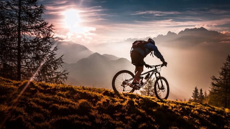 xe đạp địa hình