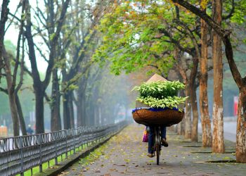 địa điểm du lịch mùa đông việt nam