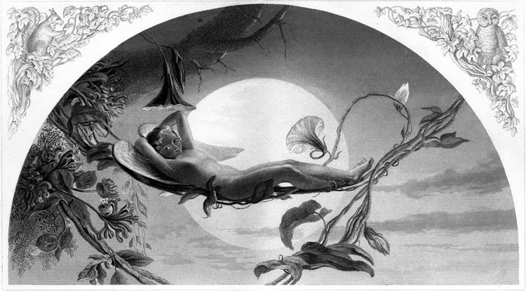 “Ariel” (1873) của C.W. Sharpe