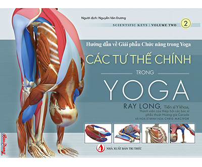 Các Tư thế Chính trong Yoga - Hướng dẫn về Giải phẫu Chức năng trong Yoga