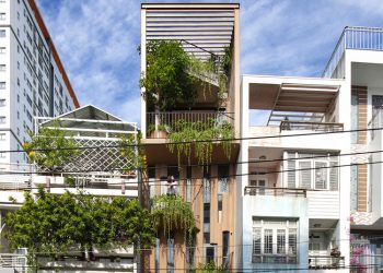 Nhà cây tree house