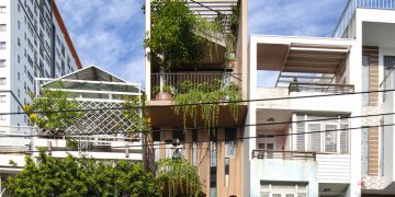 Nhà cây tree house