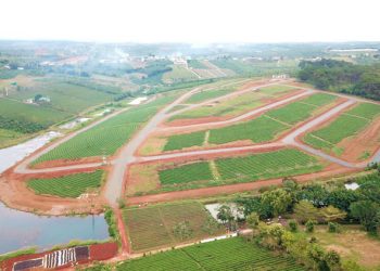 Phân lô bán nền là gì?