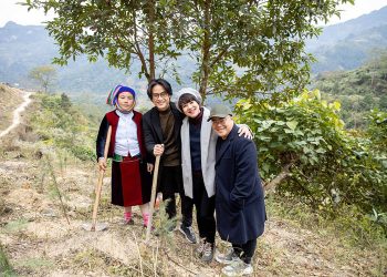 Rừng Việt Nam Hà Anh Tuấn