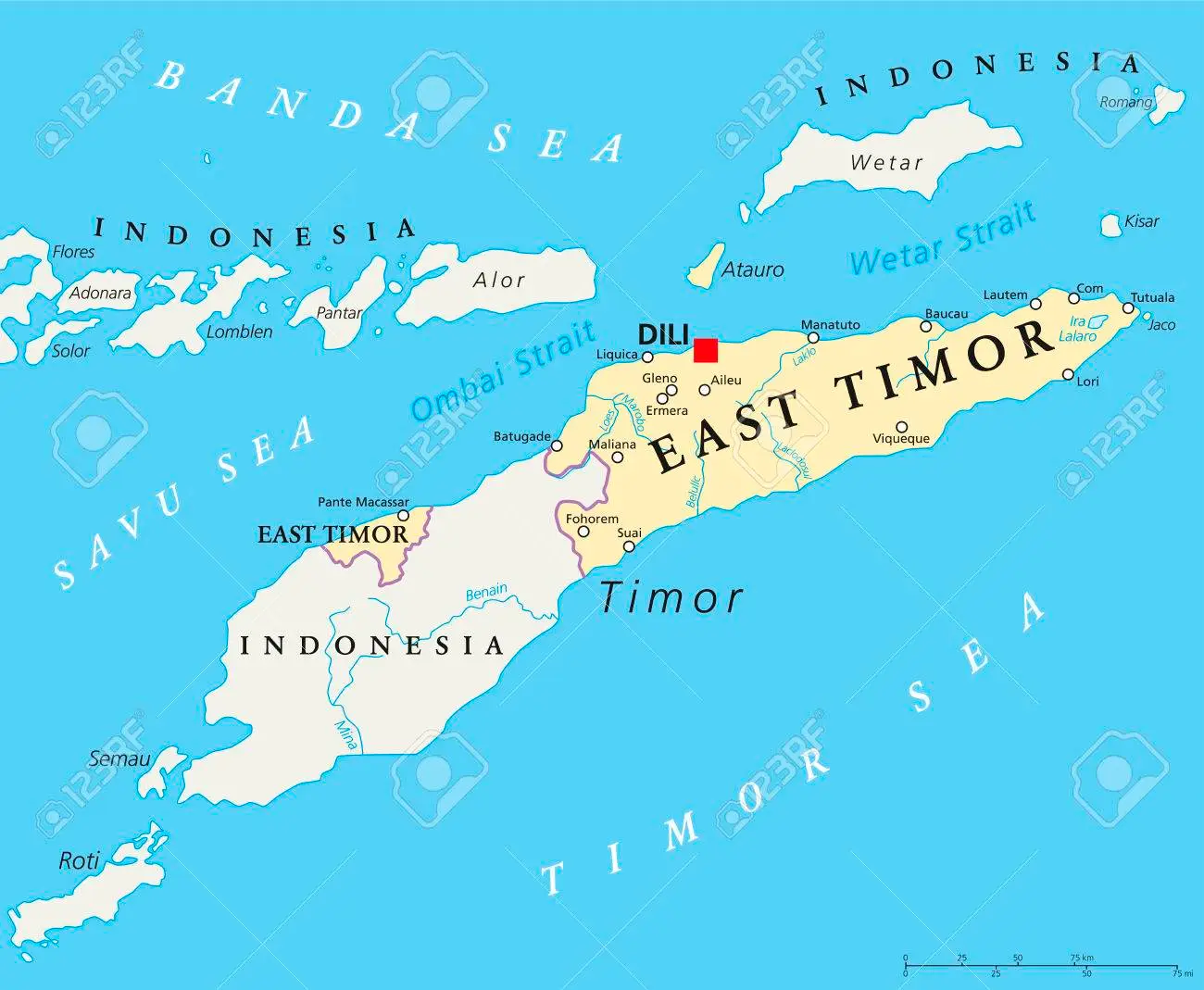 Indonesia Đông Timo
