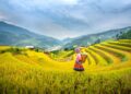 Du lịch trải nghiệm