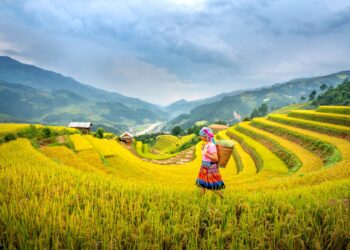 Du lịch trải nghiệm