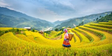 Du lịch trải nghiệm
