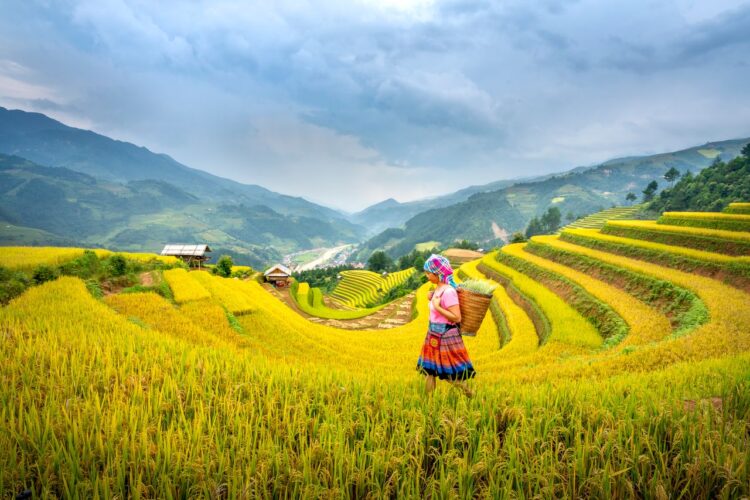 Du lịch trải nghiệm