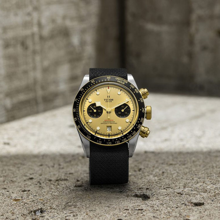 Đồng hồ Tudor Black Bay Chrono S&G