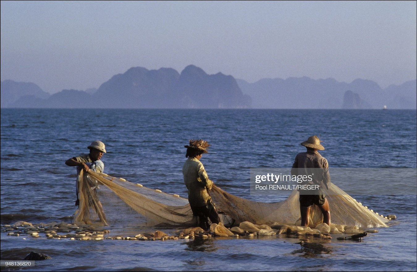 Việt Nam năm 1992