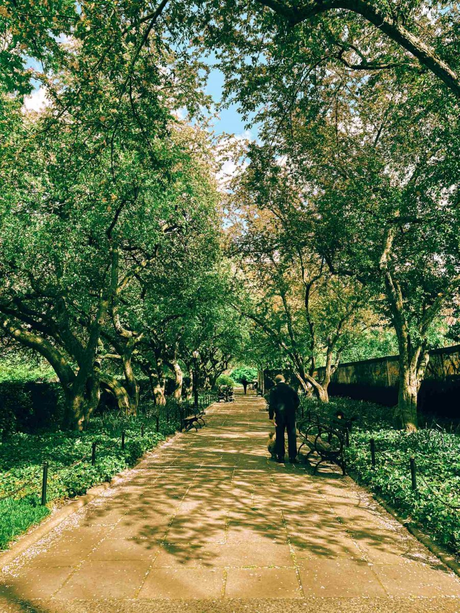 Hàng cây táo cổ thụ ở vườn kiểu Ý - Khu vườn Conservatory - Central Park
