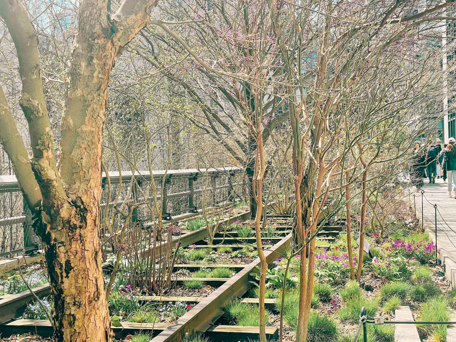 Khu vườn trên đường ray cũ ở High Line