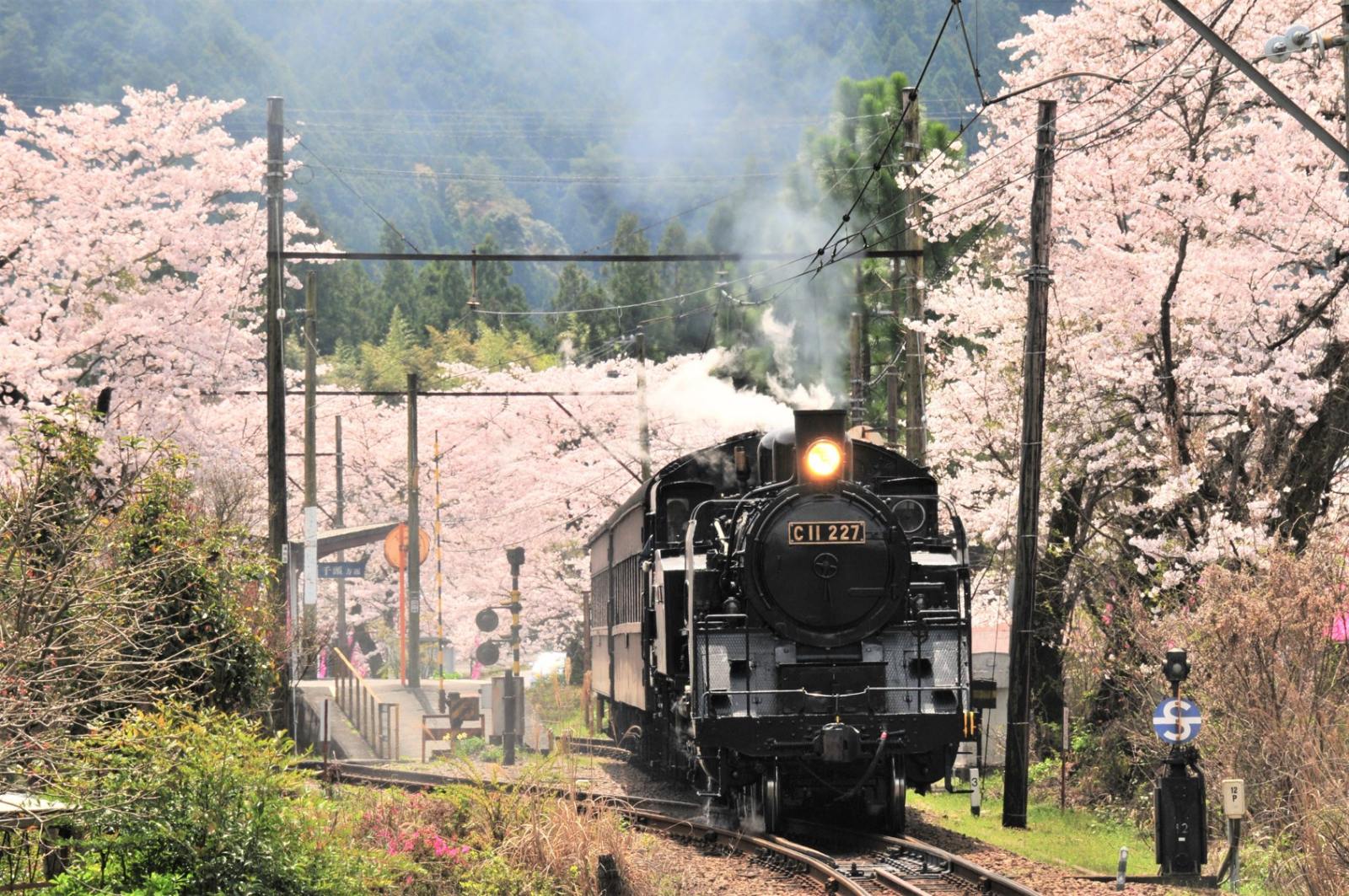 Tuyến đường tàu Oigawa