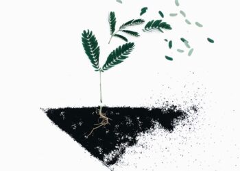 10 Thành Ngữ Hán Việt Sâu Sắc Về Quan Niệm Sống Và Triết Lý Nhân Sinh